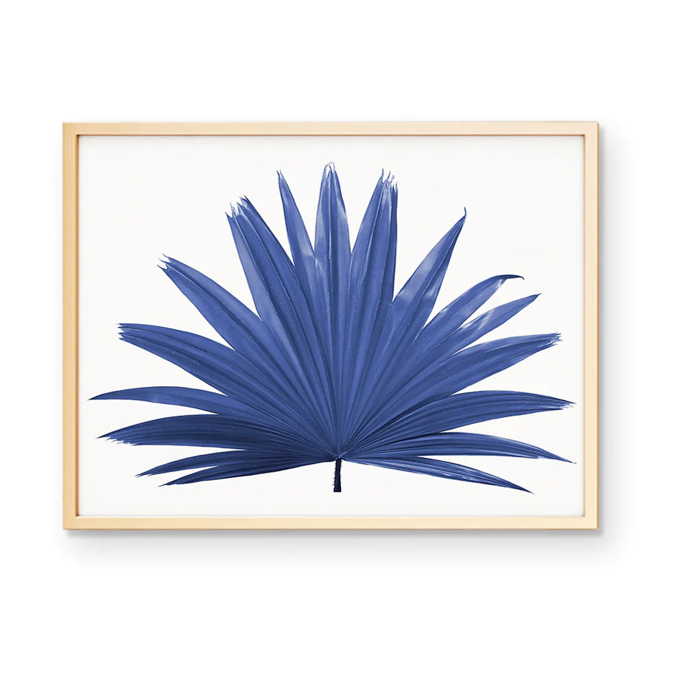 Blue Fan Palm Print Art