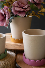 Load image into Gallery viewer, Scalloped Terracotta Planters
