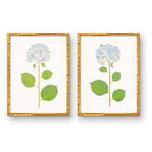 Load image into Gallery viewer, Live Hydrangea Art Print - Pair
