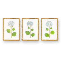 Load image into Gallery viewer, Live Hydrangea Trio Art Prints
