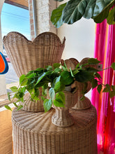 Load image into Gallery viewer, Rattan Flower Holder/Urn - 3 sizes
