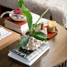 Load image into Gallery viewer, Stoneware Planter w/ 3D Geometric Shapes- Cream
