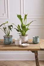 Load image into Gallery viewer, Aurina Pot with Saucer
