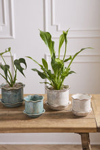 Load image into Gallery viewer, Aurina Pot with Saucer
