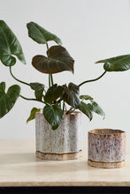 Load image into Gallery viewer, Avenell Pot

