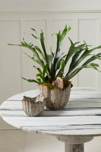 Load image into Gallery viewer, Capira Pot - Small
