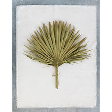 Load image into Gallery viewer, Dried Palm Leaf  Stems
