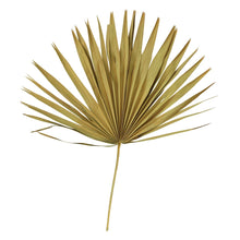 Load image into Gallery viewer, Dried Palm Leaf  Stems
