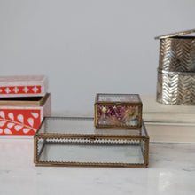 Load image into Gallery viewer, Brass &amp; Glass Display Box w/ Scalloped Edges - 2 sizes
