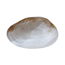 Load image into Gallery viewer, Decorative Natural Shell Footed Dish (Each One Will Vary)
