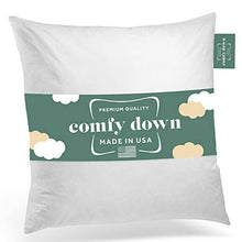 Load image into Gallery viewer, ComfyDown Decorative Throw Pillow Insert, Down - Square: 12 / 24X24
