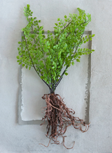 Load image into Gallery viewer, Faux Fern with Exposed Roots

