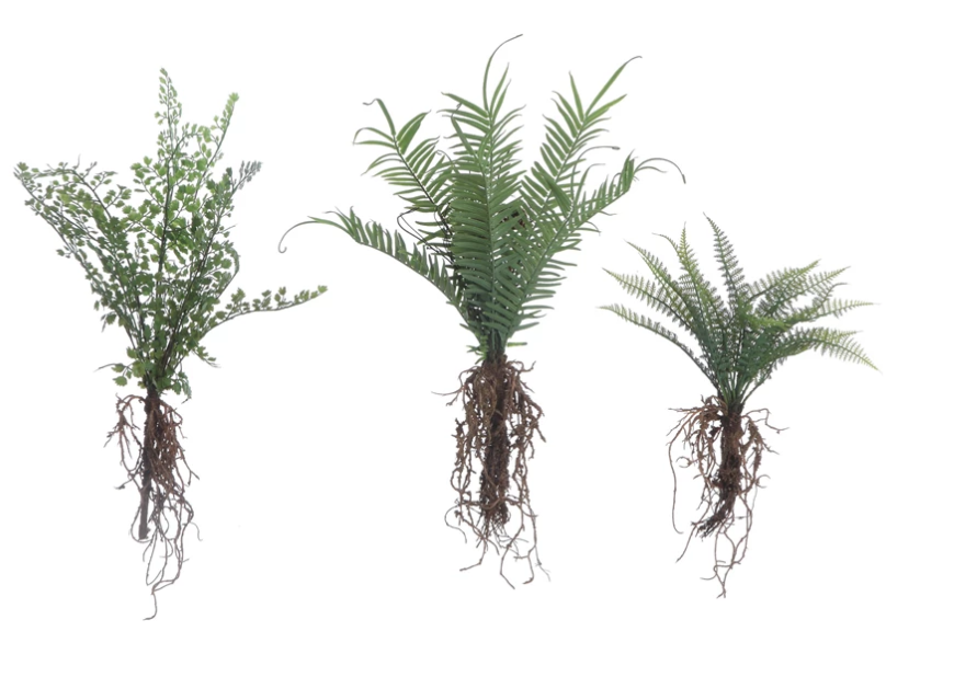 Faux Fern with Exposed Roots