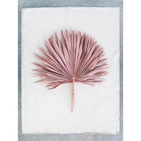 Dried Pink Palm Bunch