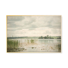 Load image into Gallery viewer, Southern Wetlands Art Print
