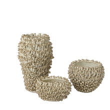 Load image into Gallery viewer, Surreal Vase Collection
