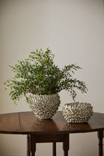 Load image into Gallery viewer, Surreal Vase Collection
