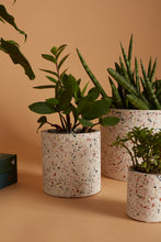 Load image into Gallery viewer, Terrazzo Pot - Multiple Sizes
