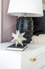 Load image into Gallery viewer, Urchin - White Spiked Orb Decor

