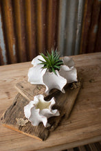 Load image into Gallery viewer, Set of 2 Ripple planter
