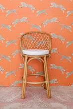 Load image into Gallery viewer, Croydon Counter Height Rattan Bar Stool
